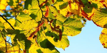 Hoe Houd je je Huid Gezond in de Herfst?